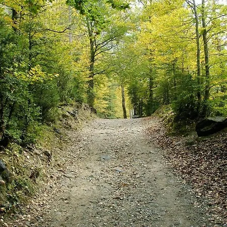 Appartamento Pirineos Ordesa