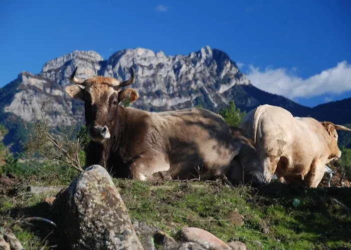 Pirineos Ordesa Apartamento *