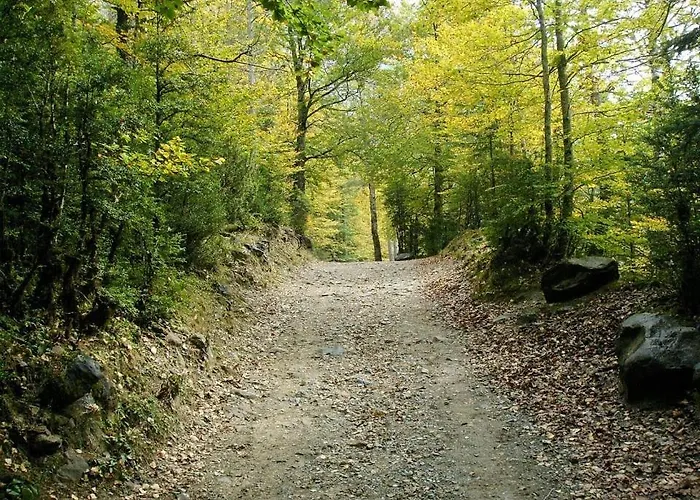 Apartamento Pirineos Ordesa